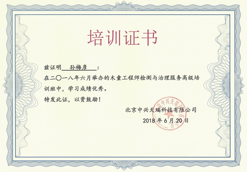 孫梅彥-木童工程師檢測與治理服務(wù)高級(jí)培訓(xùn)證書.jpg